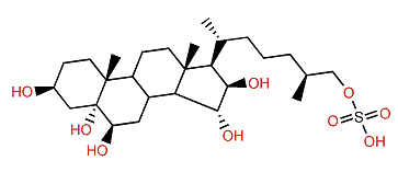 (25S)-5a-Cholestane-3b,5,6b,15a,16b,26-hexol 26-sulfate